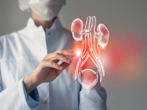 UrologyKNOW MORE